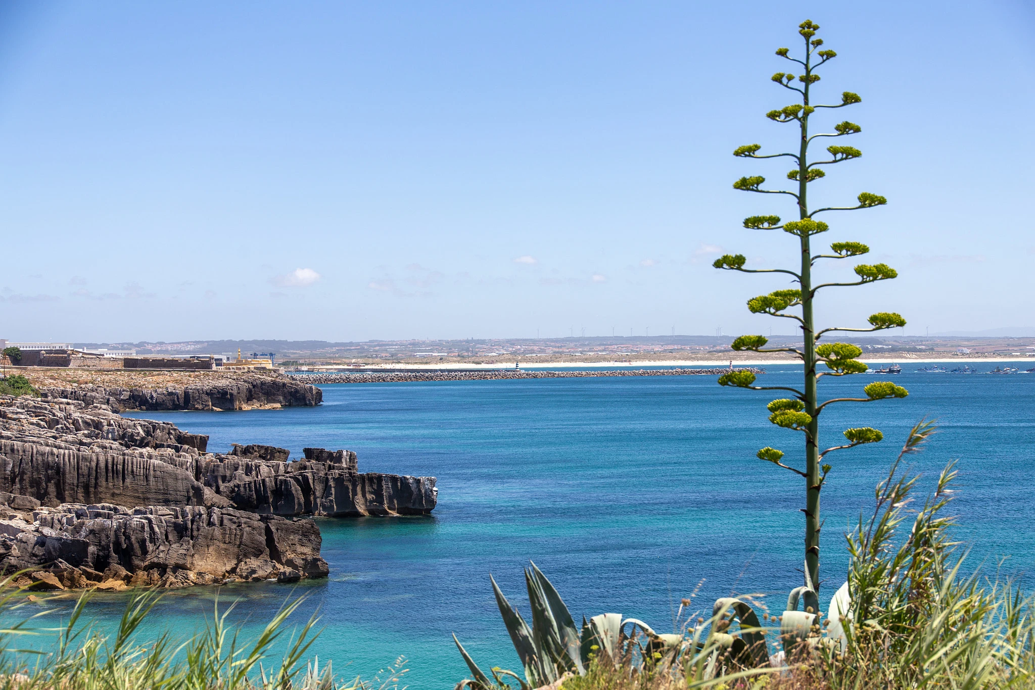 A towering agave plant dominates the foreground while the rugged limestone coastline curves away behind it, the Atlantic a vivid turquoise under a cloudless sky.