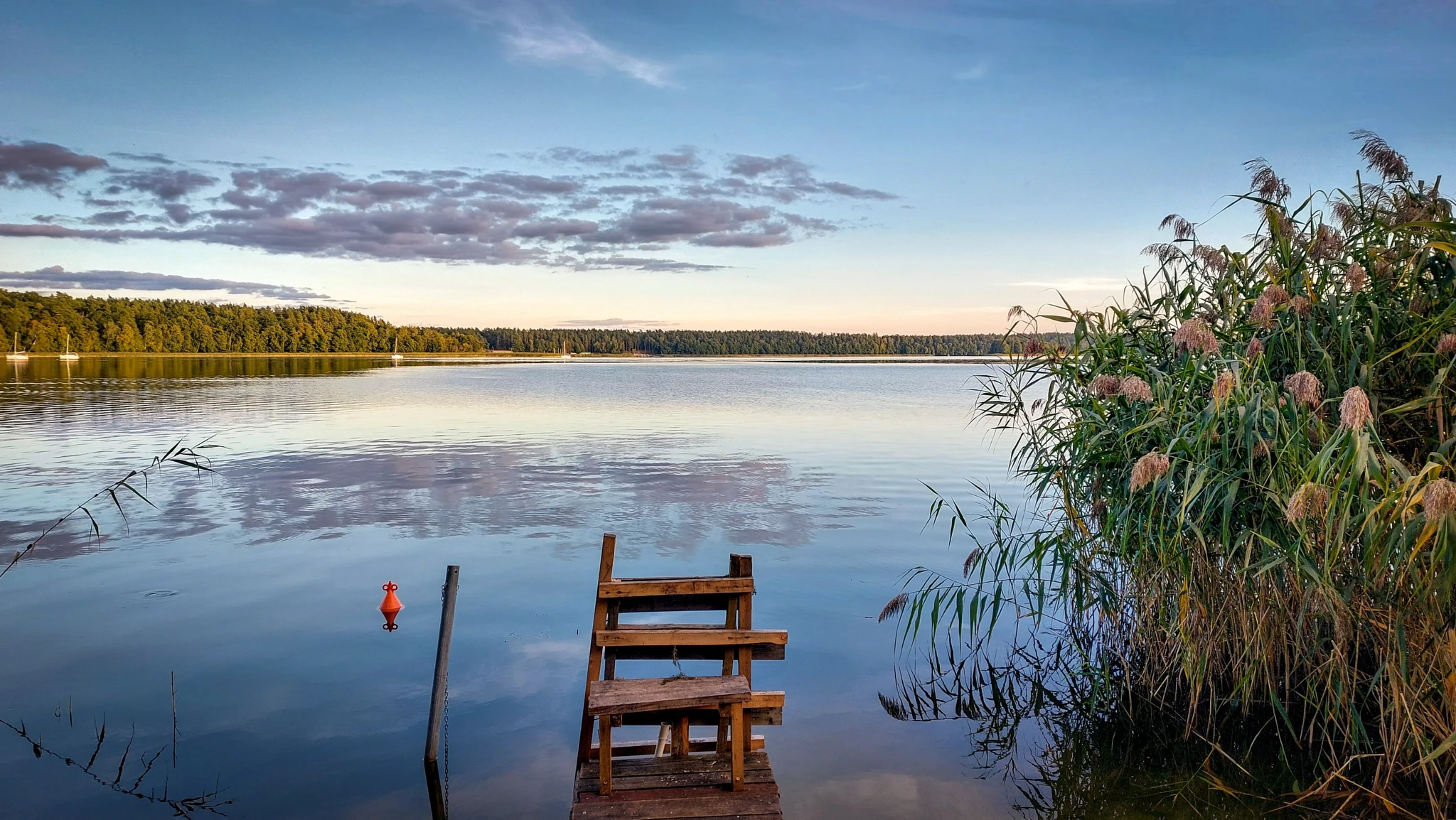 A small wooden dock juts into a glassy lake at blue hour, tall reeds swaying on the right and a distant forested shore reflected in the perfectly still water.